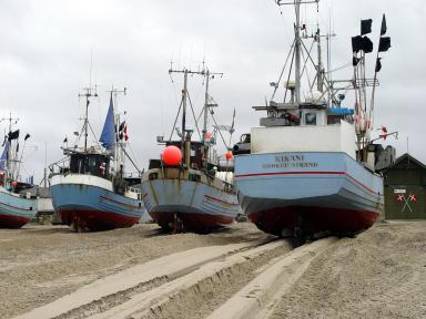 Jammerbucht
