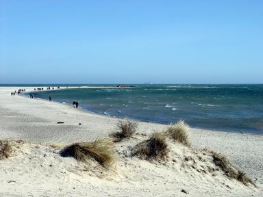 Skagen