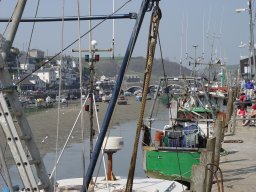 Looe