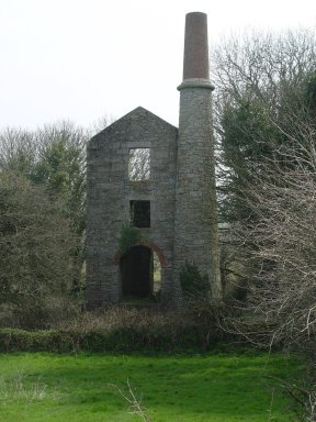 wheal 1
