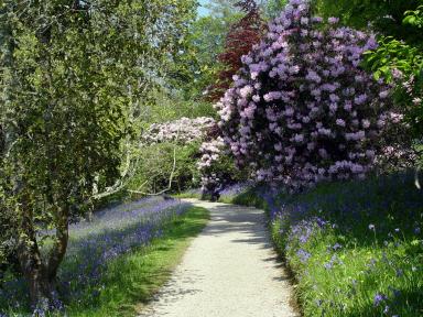 Trerice